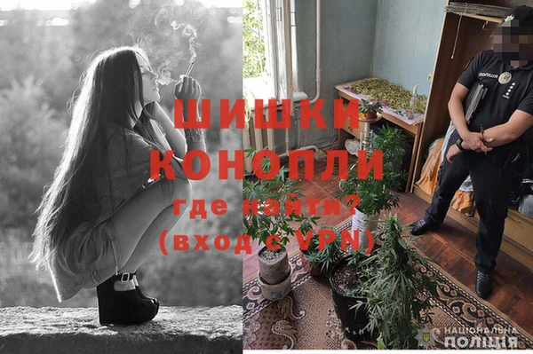 гидропоника Балахна